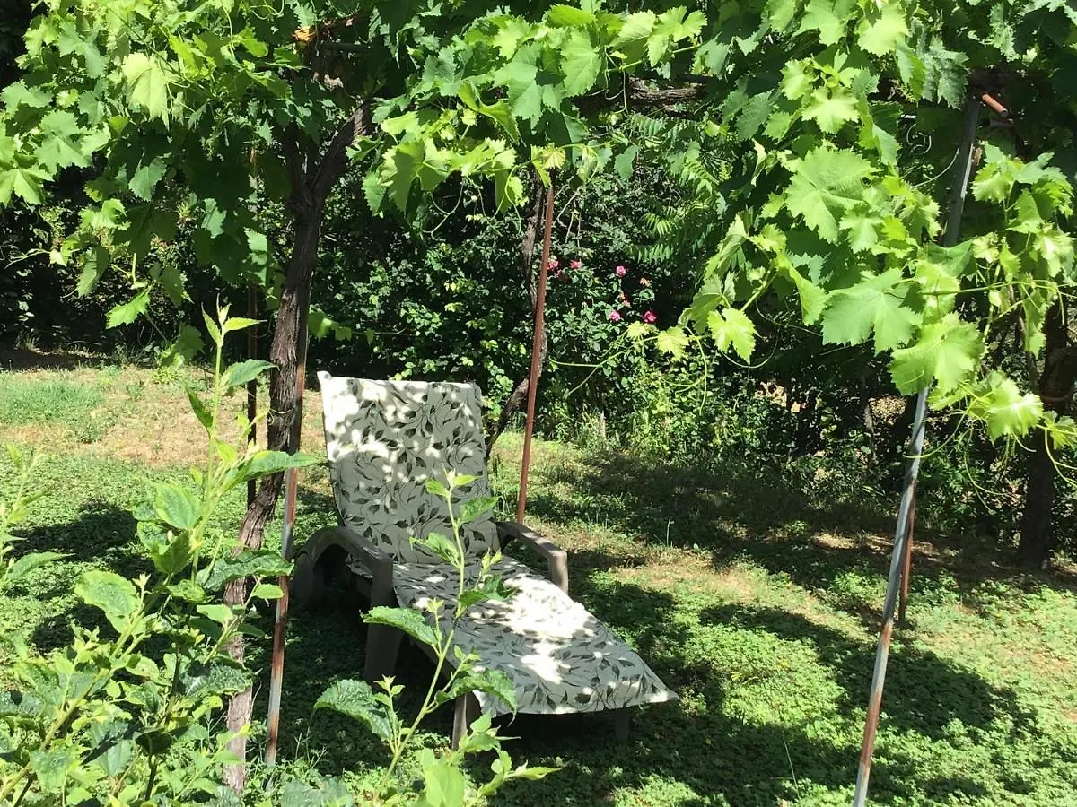 Appartement La Casita - Deux pièces dans jardin à Lorgues 0*,  France