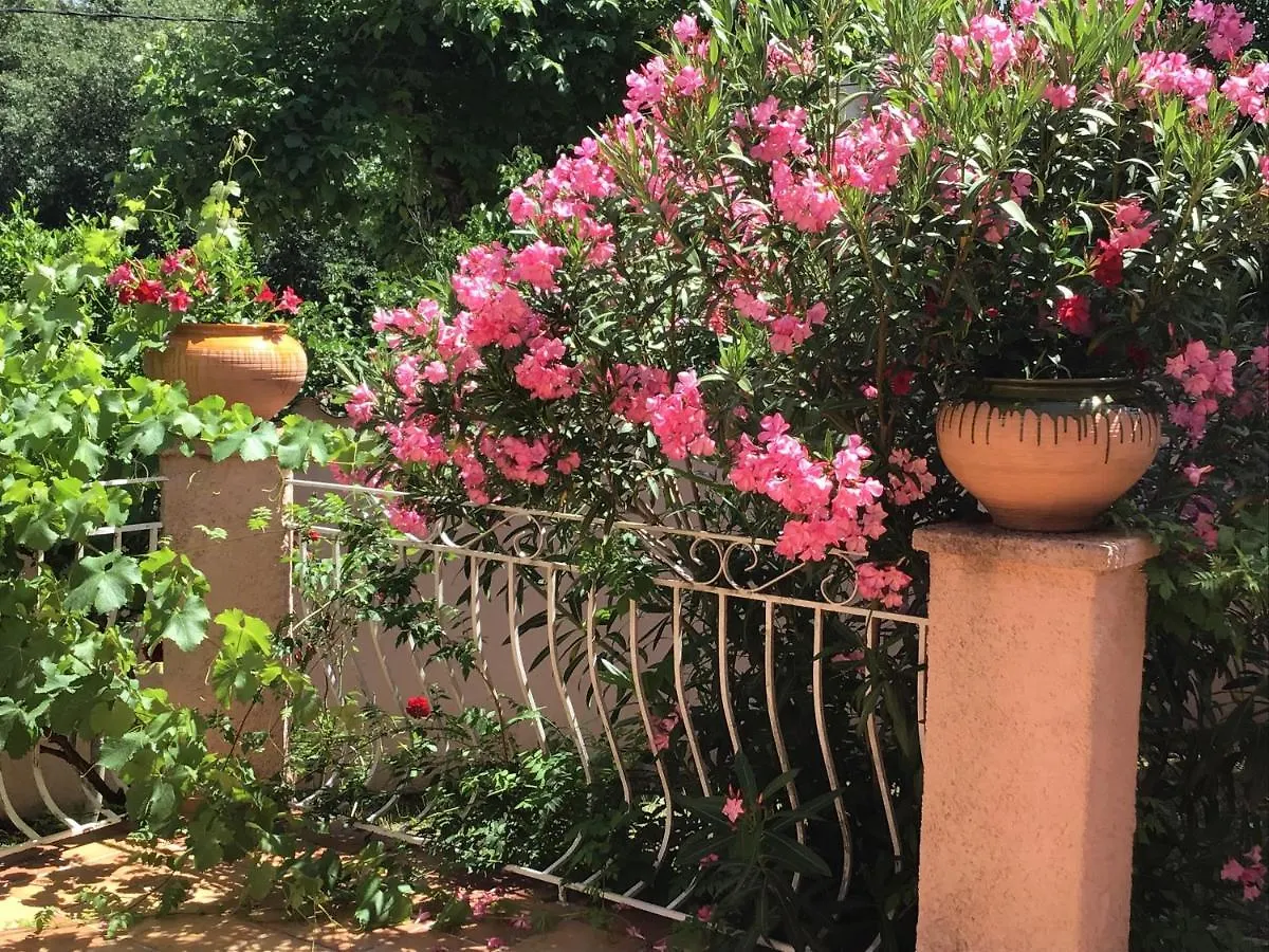 Appartement La Casita - Deux pièces dans jardin à Lorgues Séjour chez l'habitant